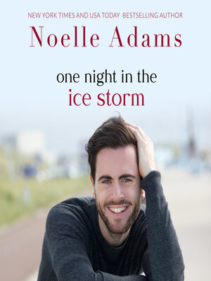 cover image of One Night in the Ice Storm